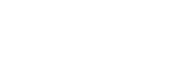 Logo Home Inspection